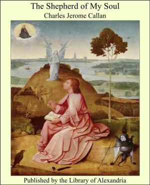 Cover of the book The Shepherd of My Soul by Baron Arthur Léon