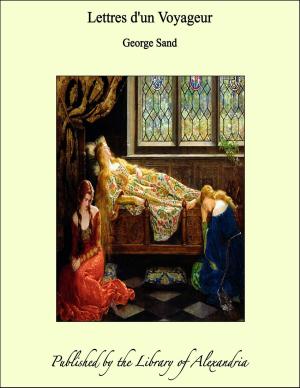 Cover of the book Lettres d'un Voyageur by George Manville Fenn