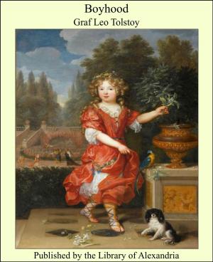 Cover of the book Boyhood by Amelia Ann Blanford Edwards