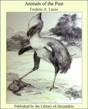 Book cover of Animals of the Past