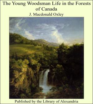 Cover of the book The Young Woodsman Life in the Forests of Canada by Théophile Gautier