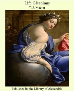 Cover of the book Life Gleanings by Alexandre Dumas
