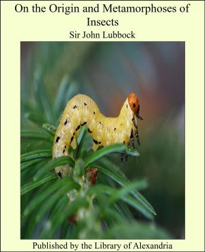 Cover of the book On the Origin and Metamorphoses of Insects by Frederic A. Lucas