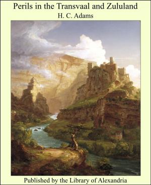 Cover of the book Perils in the Transvaal and Zululand by James R. Mears