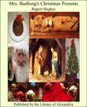 Cover of the book Mrs. Budlong's Christmas Presents by Brian Brown