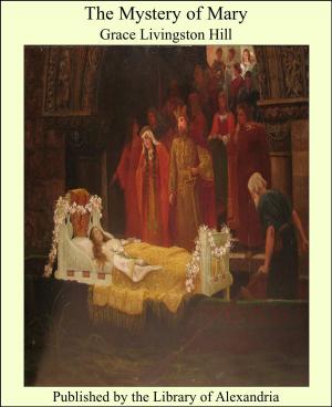 Cover of the book The Mystery of Mary by Reuben Gold Thwaites