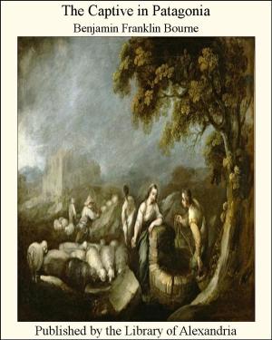 Cover of the book The Captive in Patagonia by Unknown