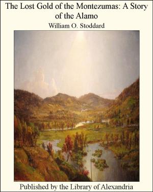 Cover of the book The Lost Gold of the Montezumas: A Story of the Alamo by George MacDonald