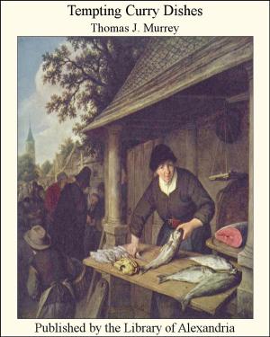Cover of the book Tempting Curry Dishes by Christian Morgenstern