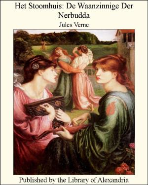 Cover of the book Het Stoomhuis: De Waanzinnige Der Nerbudda by George John Romanes