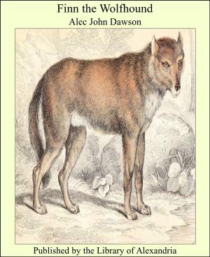 Book cover of Finn the Wolfhound