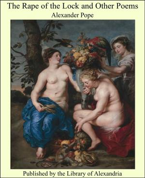 Cover of the book The Rape of the Lock and Other Poems by Hutchins Hapgood