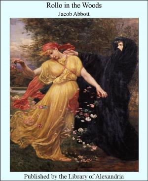 Cover of the book Rollo in the Woods by Edward A. Steiner