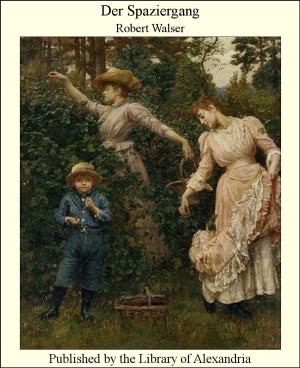 Cover of the book Der Spaziergang by Francis Augustus Cox