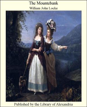 Book cover of The Mountebank