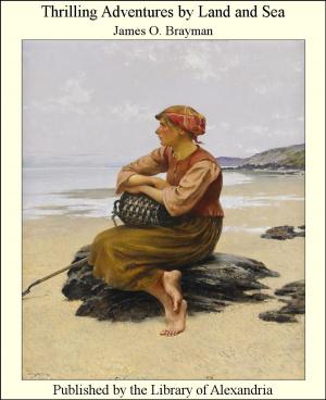 Cover of the book Thrilling Adventures by Land and Sea by T. Smollett