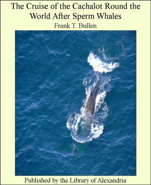 Cover of the book The Cruise of the Cachalot Round the World After Sperm Whales by Rupert Hughes