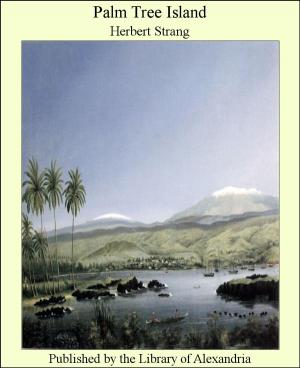 Book cover of Palm Tree Island