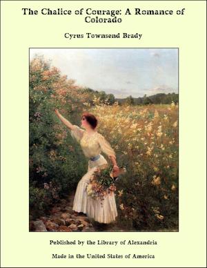 Cover of the book The Chalice of Courage: A Romance of Colorado by condesa de Emilia Pardo Bazán