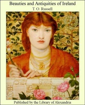 bigCover of the book Beauties and Antiquities of Ireland by 