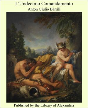 Cover of the book L'Undecimo Comandamento by Washington Irving