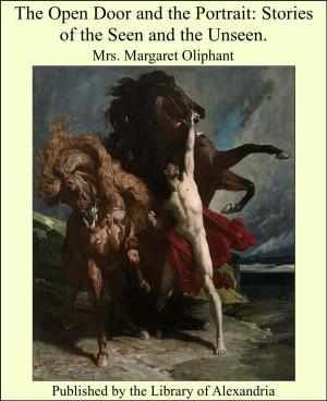 Book cover of The Open Door and the Portrait: Stories of the Seen and the Unseen.