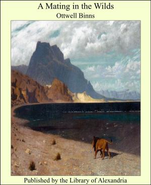 Cover of the book A Mating in the Wilds by Frederick Merrick White