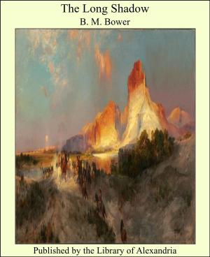 Cover of the book The Long Shadow by C. F. Wimberly