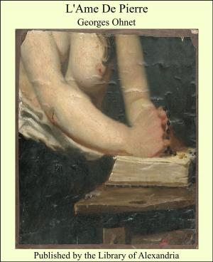 Cover of the book L'Ame De Pierre by Ellen C. Babbitt