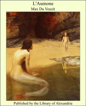 Cover of the book L'Aumone by Alberto Pimentel