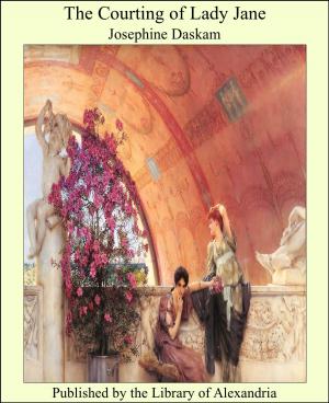 Cover of the book The Courting of Lady Jane by George A. Kyle
