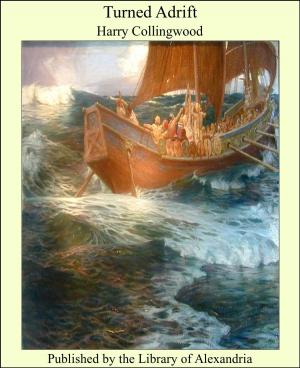 Cover of the book Turned Adrift by George Frederick Wright