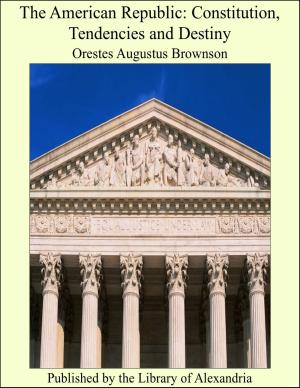 bigCover of the book The American Republic: Constitution, Tendencies and Destiny by 