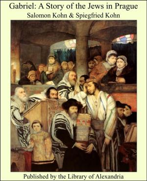 Cover of the book Gabriel: A Story of the Jews in Prague by Edward Peple