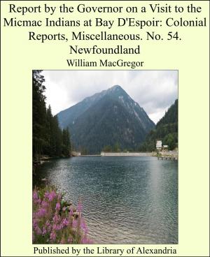 Cover of the book Report by the Governor on a Visit to the Micmac Indians at Bay D'Espoir: Colonial Reports, Miscellaneous. No. 54. Newfoundland by Sir Pelham Grenville Wodehouse