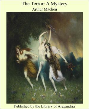 Cover of the book The Terror: A Mystery by Joseph Fouché