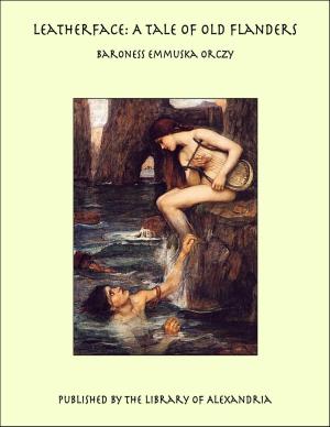 Cover of the book Leatherface: A Tale of Old Flanders by Józef Ignacy Kraszewski