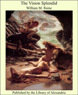 Cover of the book The Vision Splendid by Denver Michaels