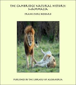 Cover of the book The Cambridge Natural History: Mammalia by Annie Shepherd Swan