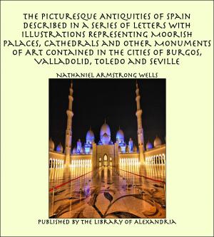 bigCover of the book The Picturesque Antiquities of Spain Described in a Series of Letters with Illustrations Representing Moorish Palaces, Cathedrals and Other Monuments of Art Contained in the Cities of Burgos, Valladolid, Toledo and Seville by 