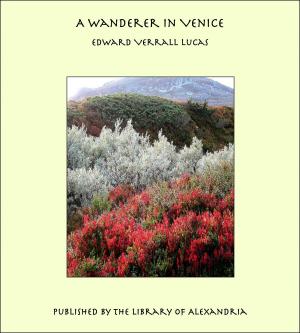 Cover of the book A Wanderer in Venice by James Oliver Curwood
