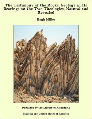 Book cover of The Testimony of the Rocks: Geology in Its Bearings on the Two Theologies, Natural and Revealed