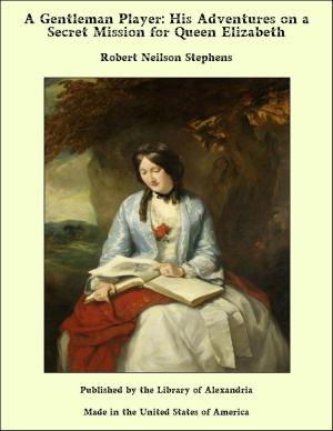 Cover of the book A Gentleman Player: His Adventures on a Secret Mission for Queen Elizabeth by Shawna Sparlin