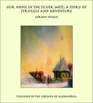 Cover of the book Our Home in the Silver West; A Story of Struggle and Adventure by St. George Tucker