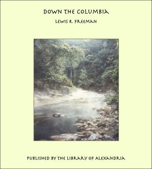 Cover of the book Down The Columbia by James S. Findley