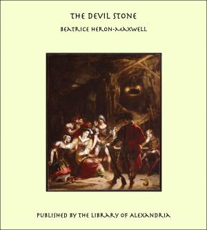 Book cover of The Devil Stone