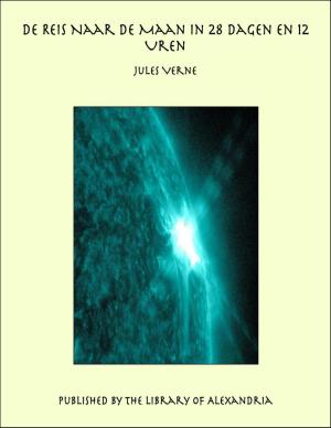 Cover of the book De Reis Naar De Maan in 28 Dagen en 12 Uren by Alexa Andrea von Speyer
