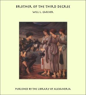 Cover of the book brother of the Third Degree by Edward Hutton