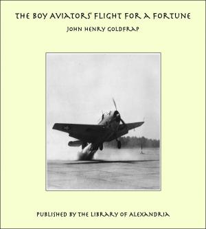 Cover of the book The Boy Aviators' Flight for a Fortune by Peter Abelard