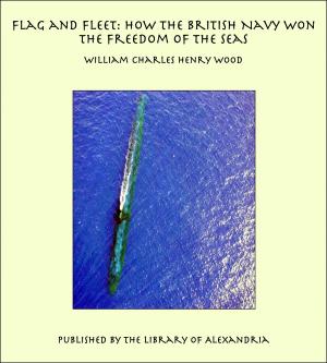 Cover of the book Flag and Fleet: How the British Navy Won the Freedom of the Seas by Robert Montgomery Bird